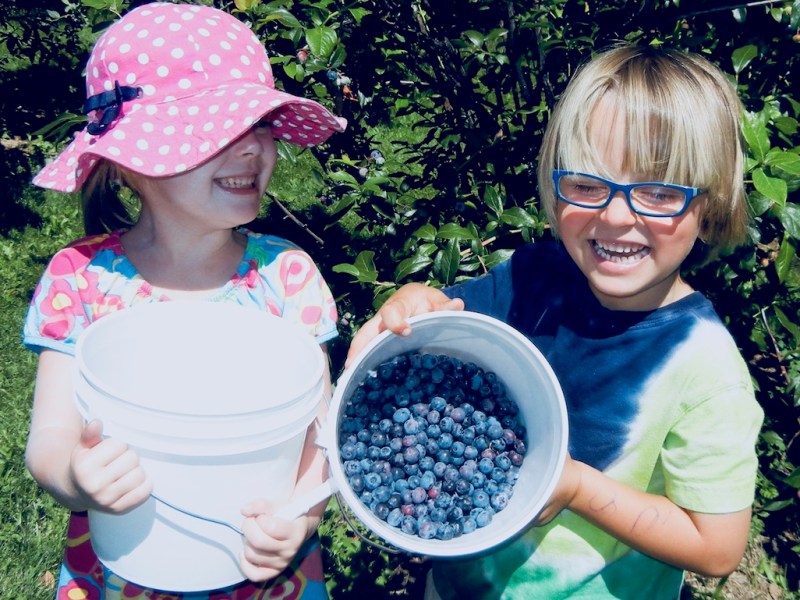 Northwest Berry Guide: Growing, U-Pick and Foraging Tips in Oregon and&nbsp;Washington