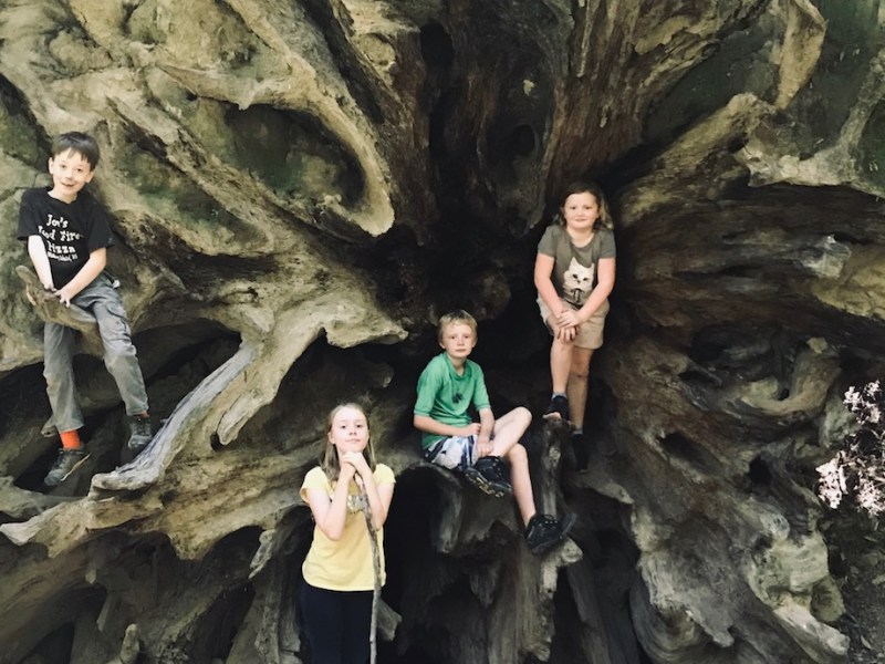 6 Great West Coast Campgrounds for Families to Visit in&nbsp;2021