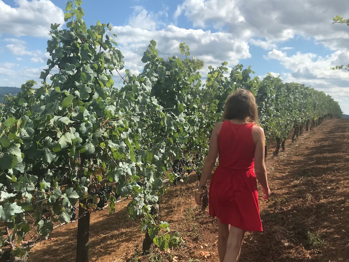 Why You Should Consider Supporting Organic, Biodynamic, and Eco-Friendly&nbsp;Winemakers