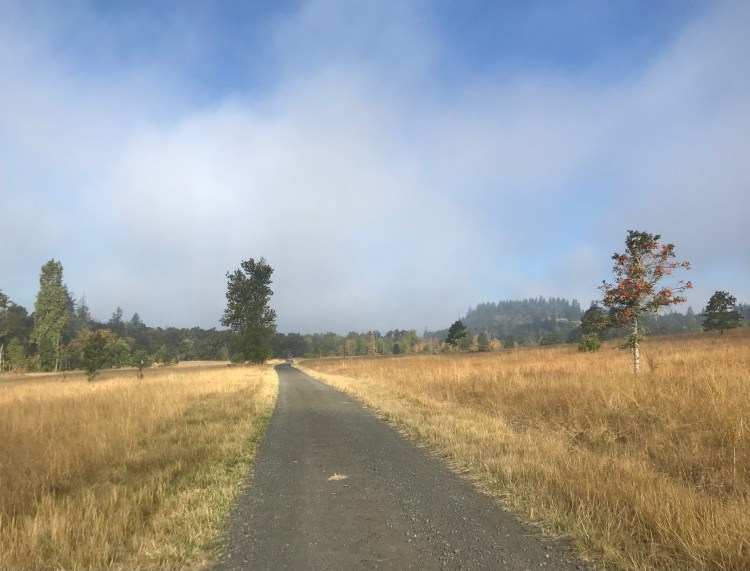 Fall Foliage Hikes and Farm Fun in the Southern Willamette Valley ...