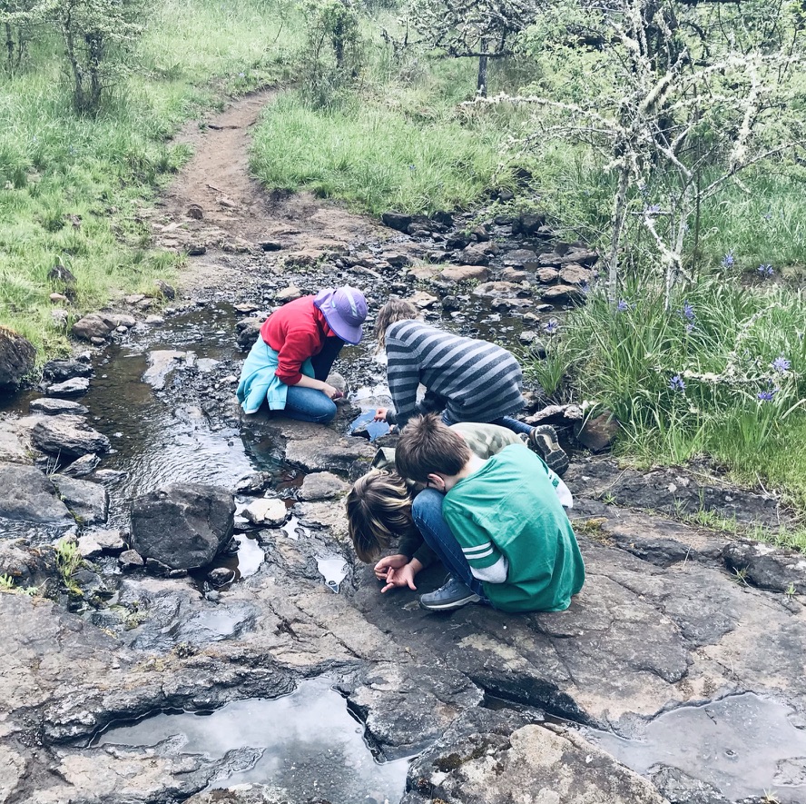 Children large and small enjoy exploring the creeks and river at Mt. Pisgah Arboretum.