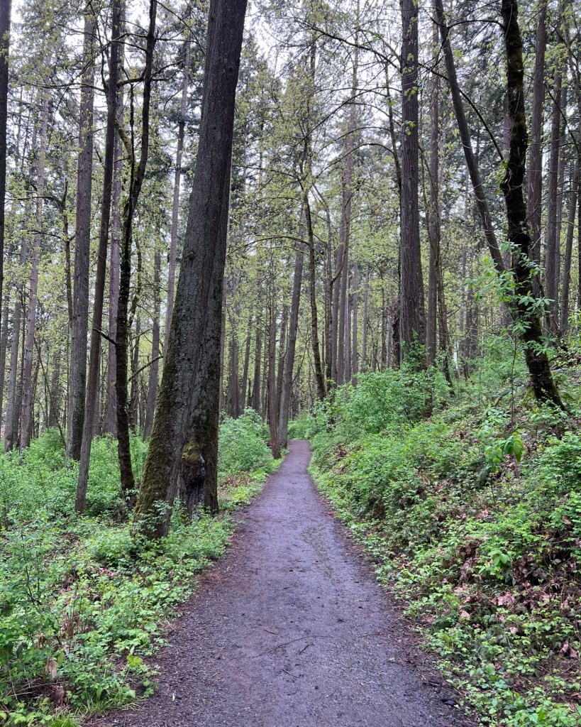 Hendricks Park is fun to visit any time of the year.