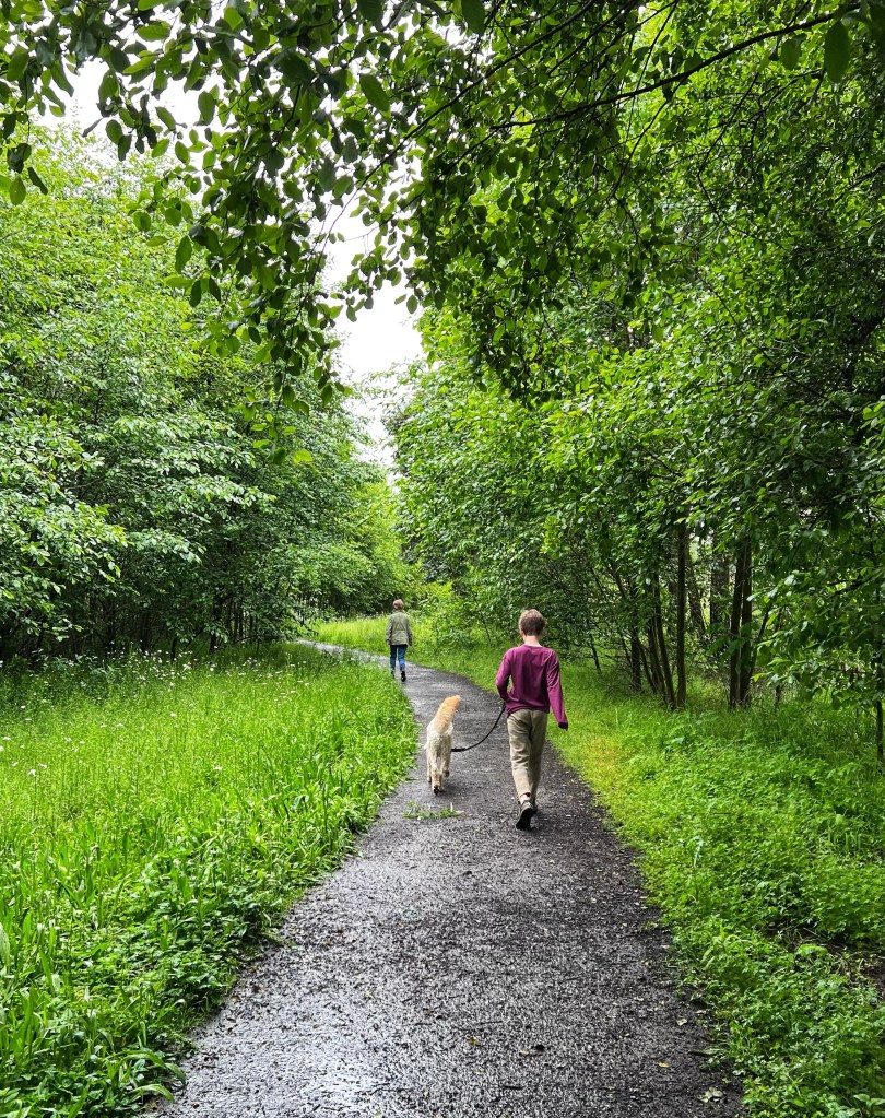 Go bird watching or take a stroll at Delta Ponds in Eugene.