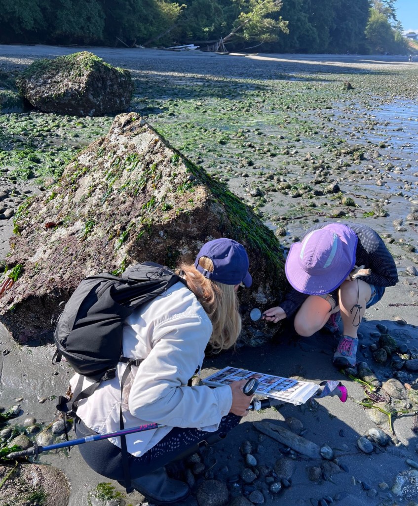 Tidepooling with a member of Sound Water Stewards at Bush Point beach on Whidbey Island.