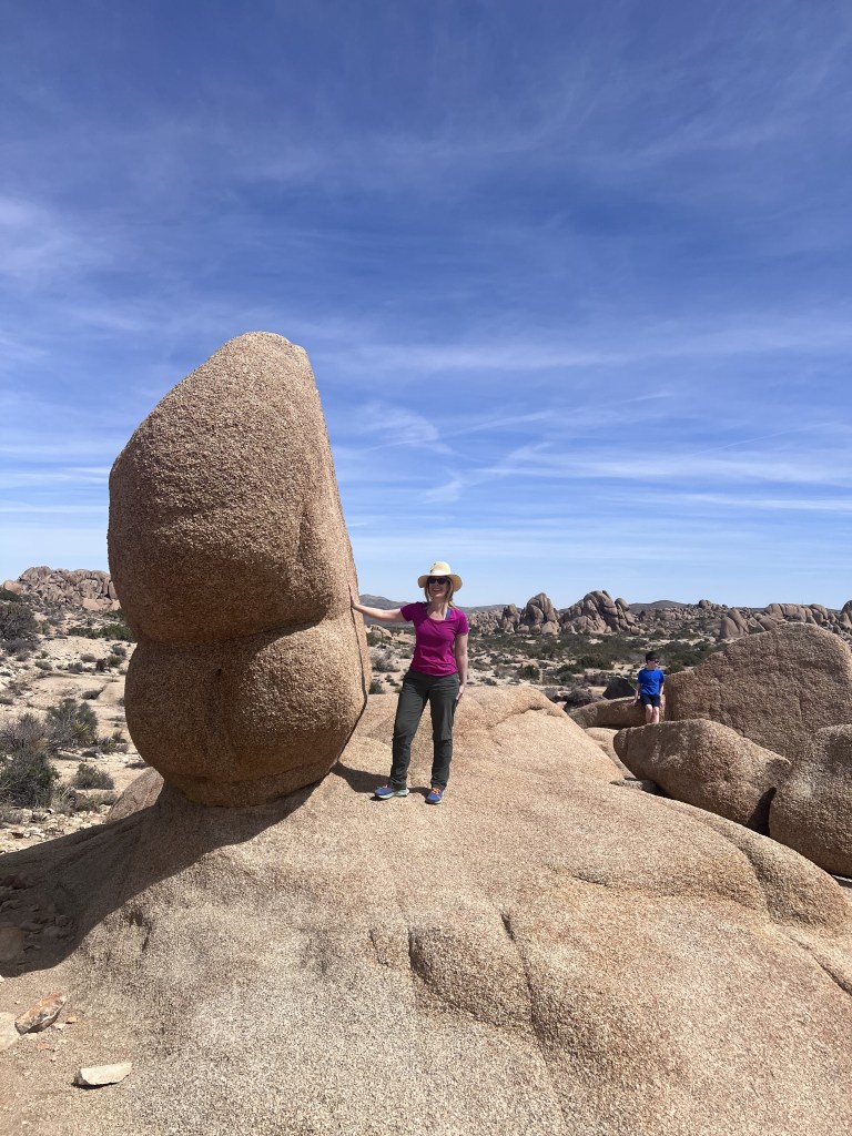 Joshua Tree National Park is a fun family day trip from Palm Springs.
