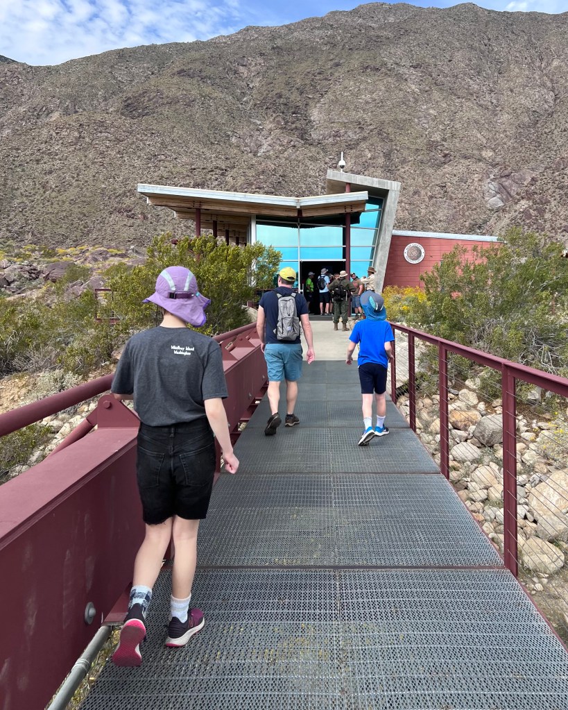 Favorite spring hikes in Palm Springs.