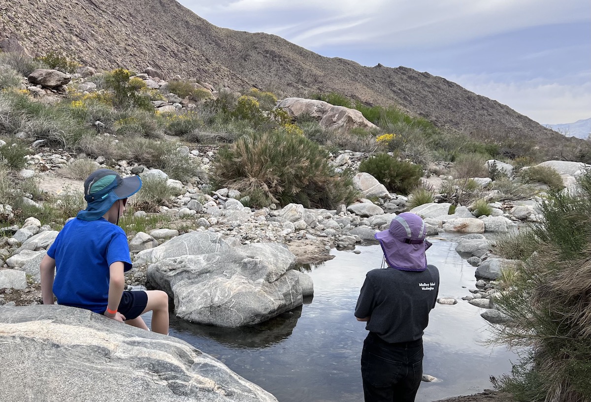 Top 7 Reasons Why Palm Springs Is a Great Family Vacation ...