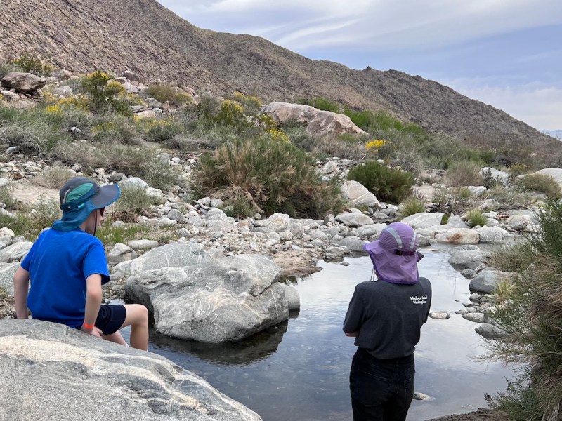 Top 7 Reasons Why Palm Springs Is a Great Family Vacation&nbsp;Destination