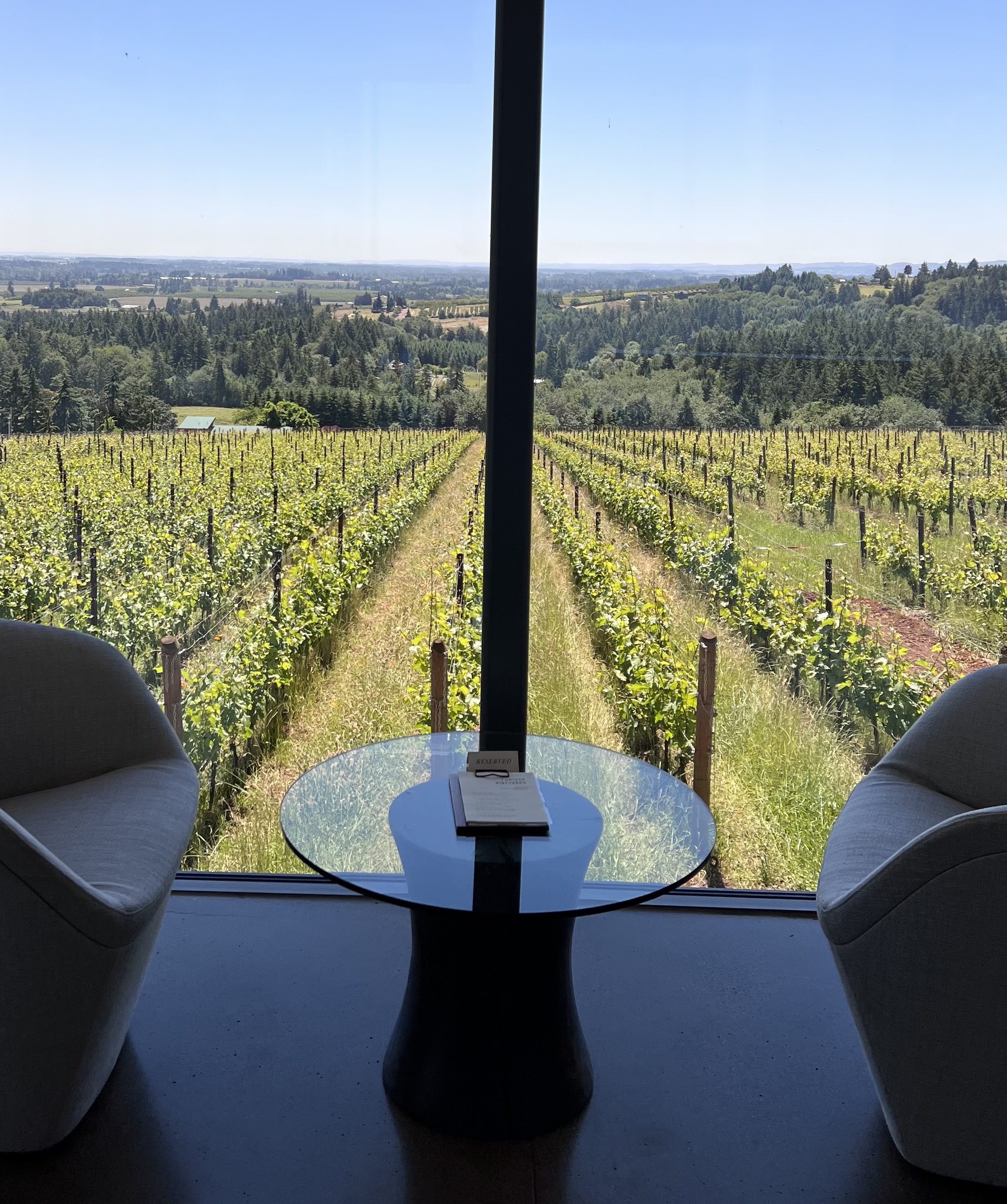 Tips for the Perfect Sustainable Wine Tasting Weekend in the Dundee ...