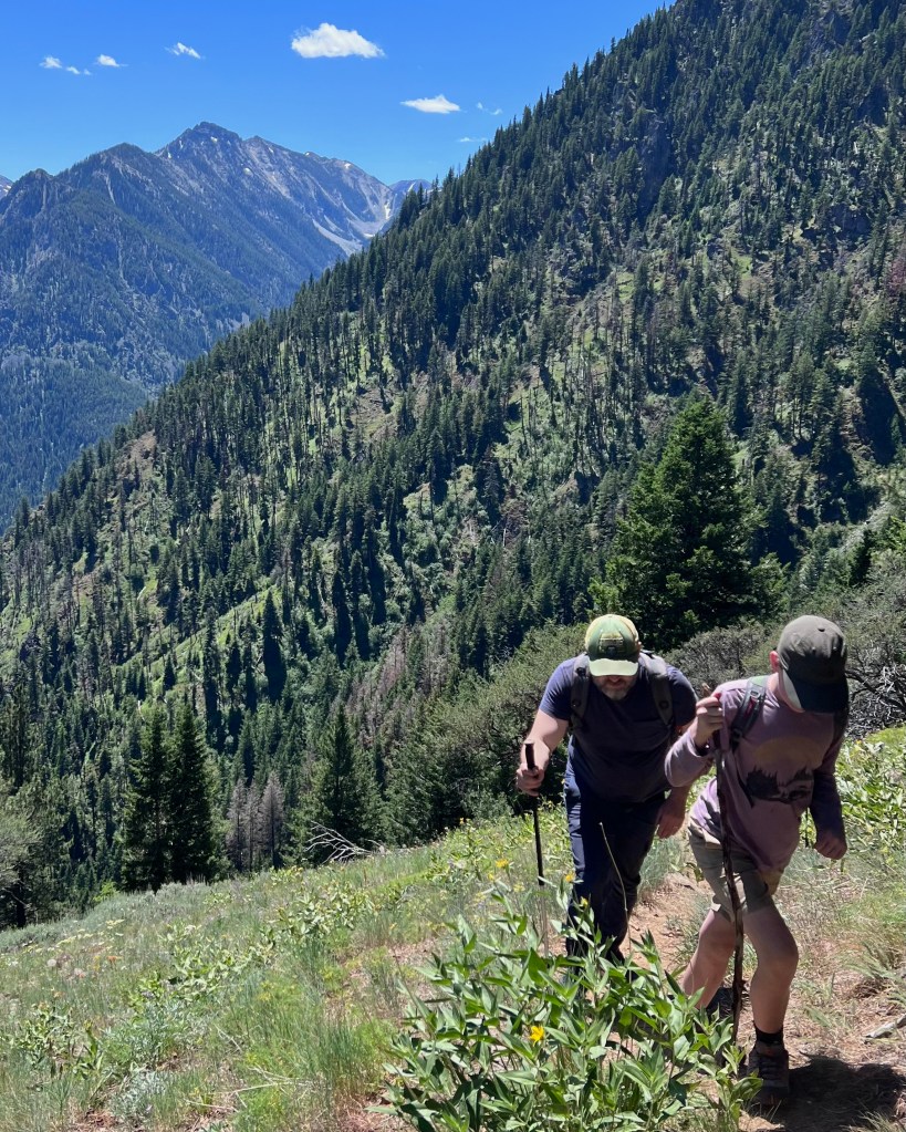 Chief Joseph Summit Trail
Wallowa Mountains Oregon