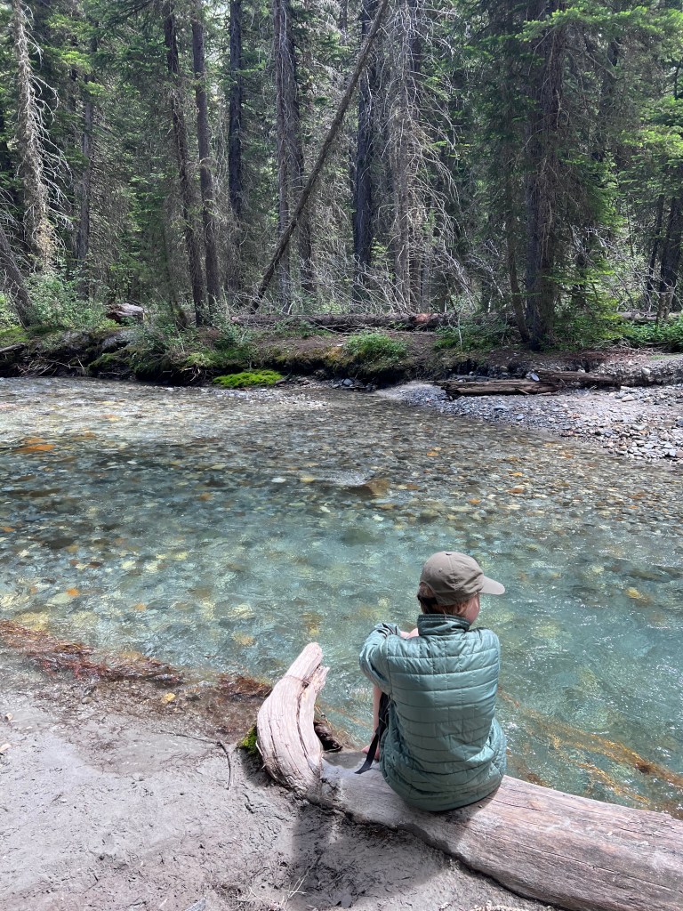 The pristine creek was a highlight of Hurricane Creek Trail.