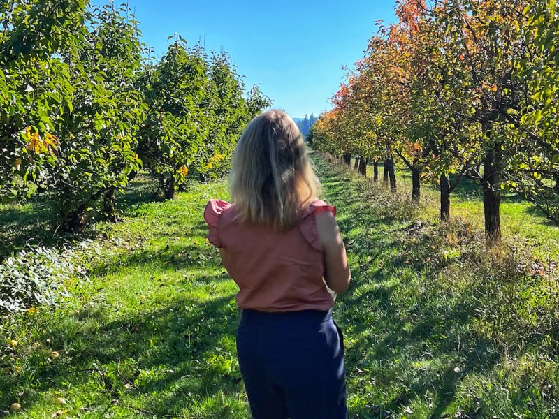 Ideas for a More Sustainable Fall in the South Willamette&nbsp;Valley