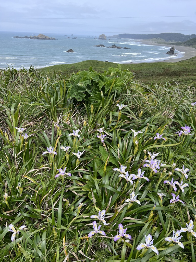 Cape Blanco State Park
Bandon, Oregon
@tournesoladventures