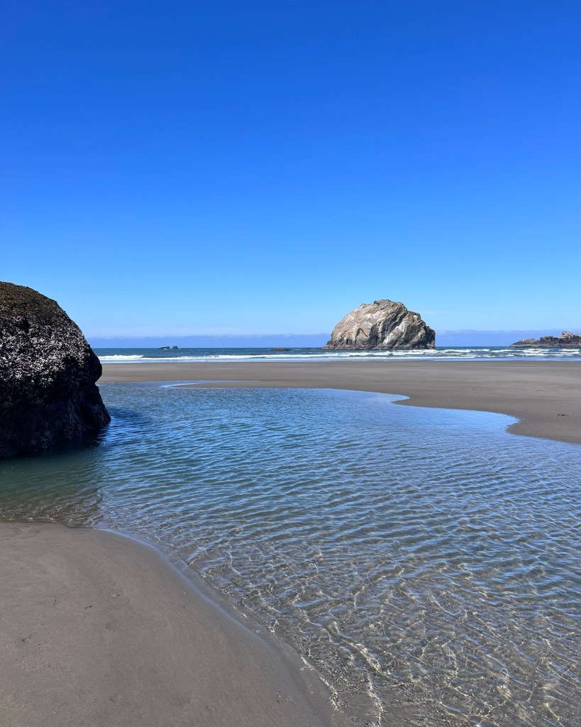 Face Rock
Bandon, Oregon
@tournesoladventures