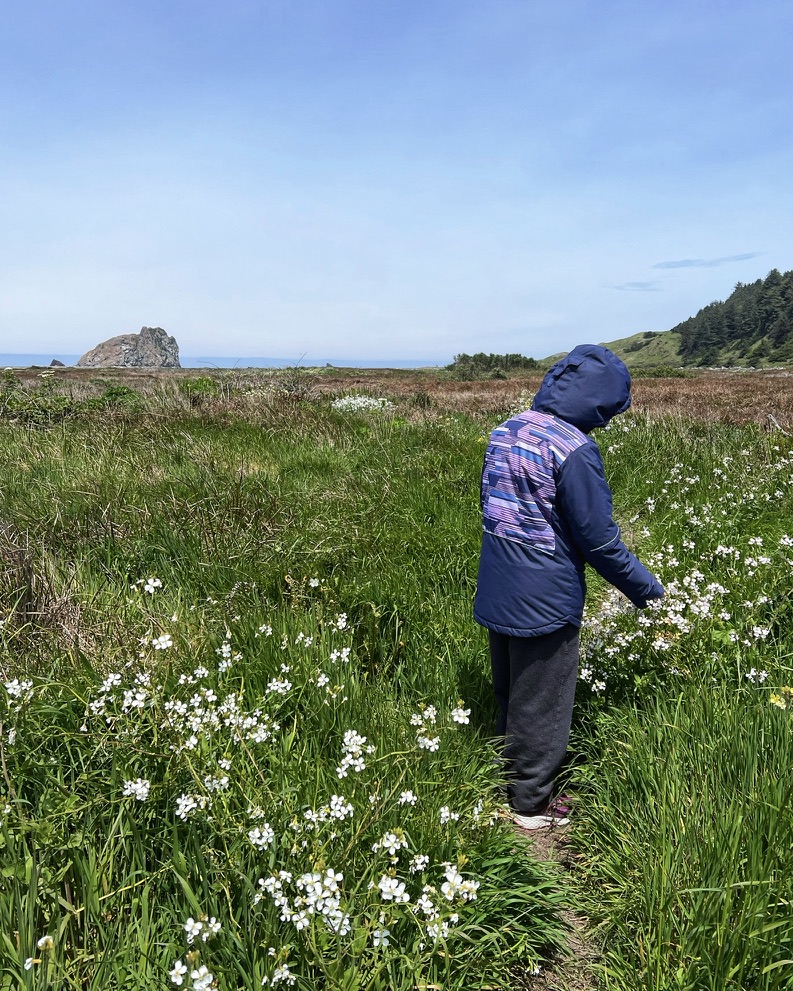 Sixes River Trail
Bandon, Oregon
@tournesoladventures