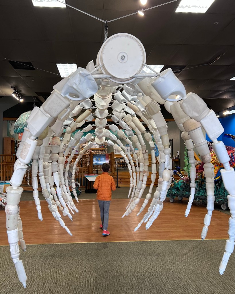 Washed Ashore Gallery
Bandon, Oregon
@tournesoladventures