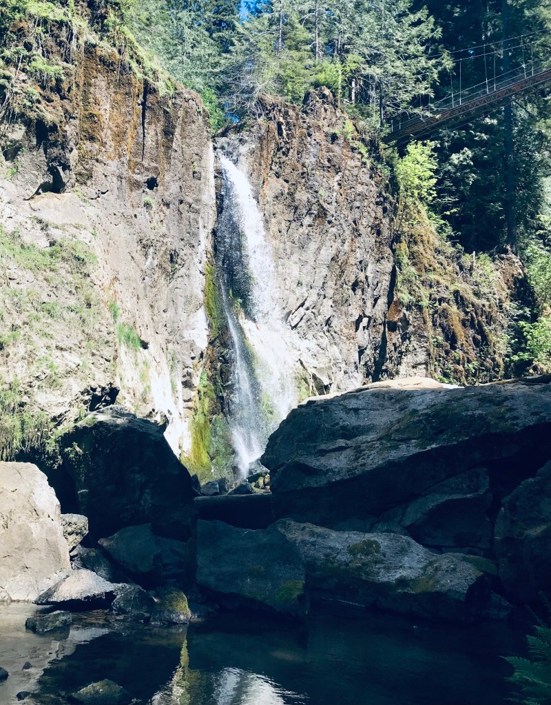 Drift Creek Falls Trail Oregon Coast.